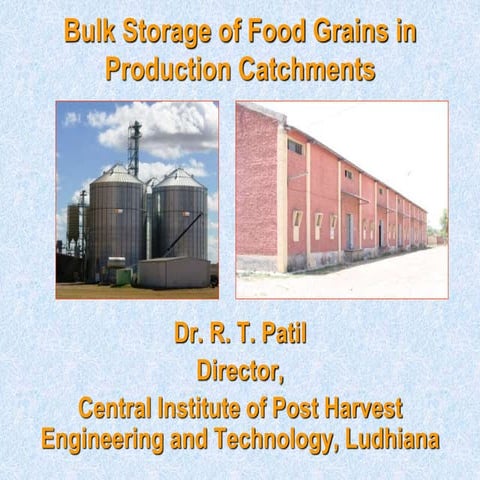 Bulk storage of food grains in production catchments