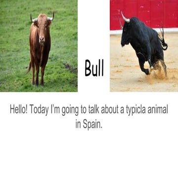 The bull | PPTX