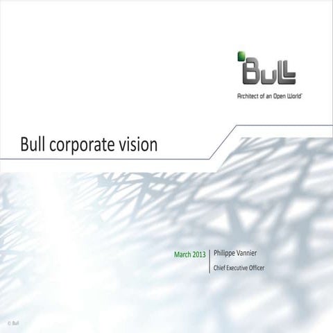 Bull Corporate Vision