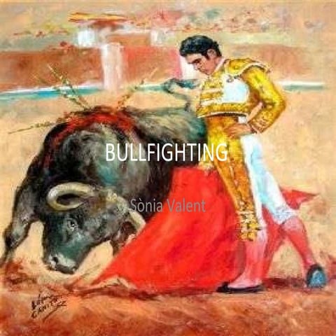 Bullfighting