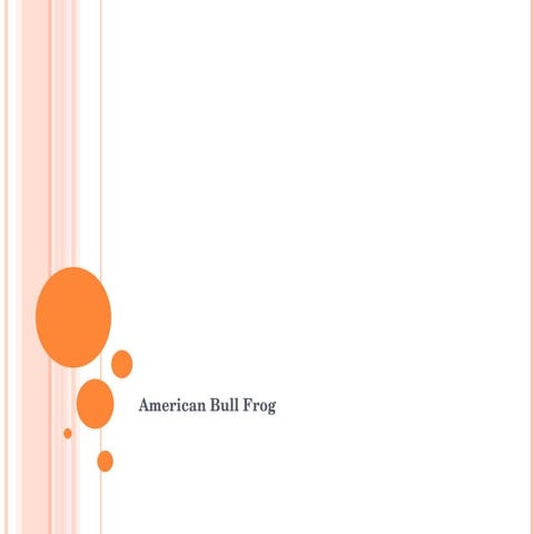 Bullfrog( Complete ) | PPT