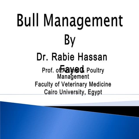 Lecture 3: Bull  Management 