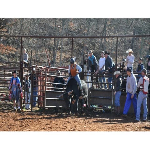 The Bull Ride: Ready, Set, Go! | PPT