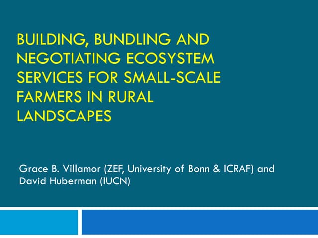 Grace Villamor - Bundling And Negotiating Ecosystem Services For Small Scale Farmers - Aug 2009