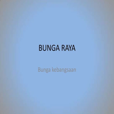 Bunga raya | PPTX