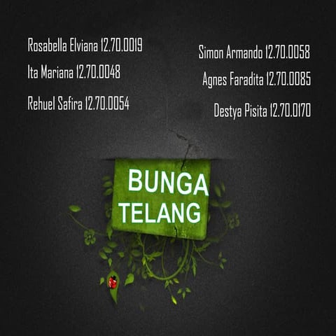 Bunga telang