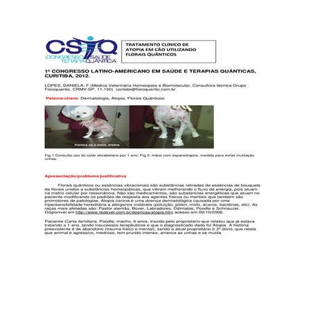 TRATAMENTO CLÍNICO DE ATOPIA EM CÃO UTILIZANDO FLORAIS QUÂNTICOS | PDF
