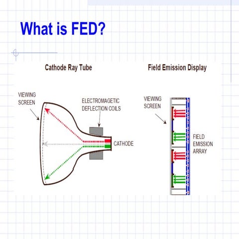 FED ppt | PPT