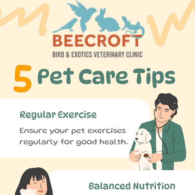 Bunny Vet Singapore Rabbit vet specialist Singapore.pdf