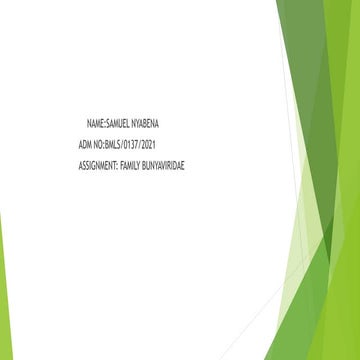 BUNYAVIRIDAE SAM NYABENA ASSIGNMENT.pptx