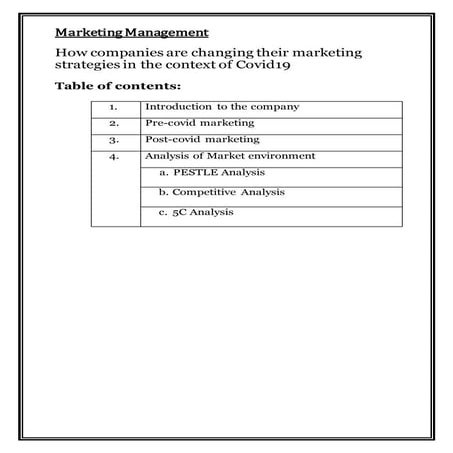 Burger king -Marketing startegies