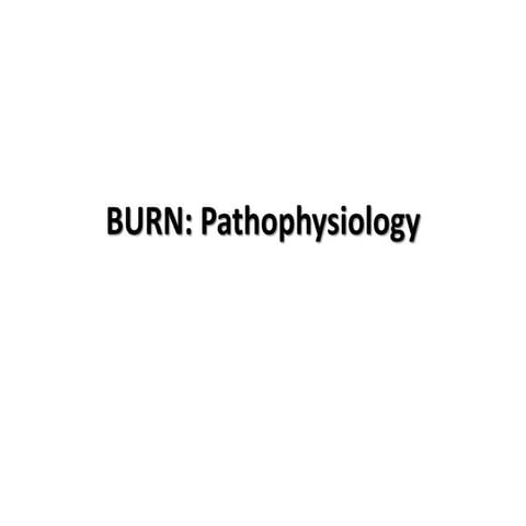 Burn pathophysiology
