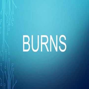 Burns 1
