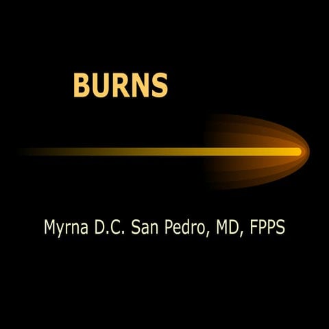 Burns