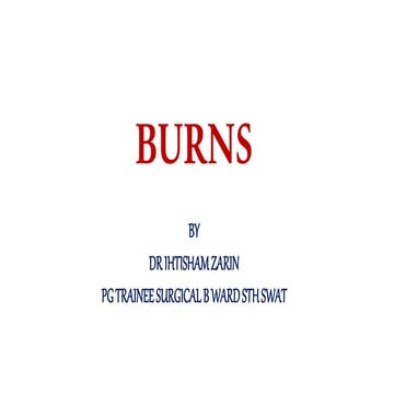 BURNS REVIEW