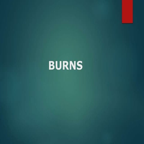 Burns.pptx