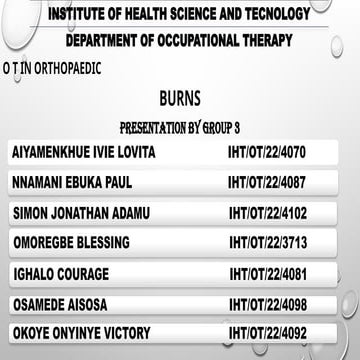 Burns.pptx2334454333454344433334333333333