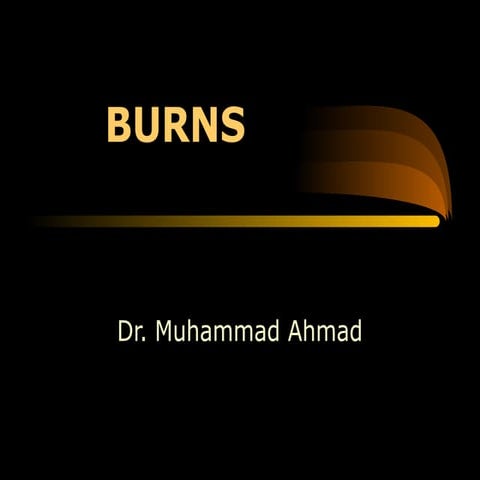 BURNS.ppt BURNS.ppt BURNS.pptBURNS.ppt BURNS.ppt
