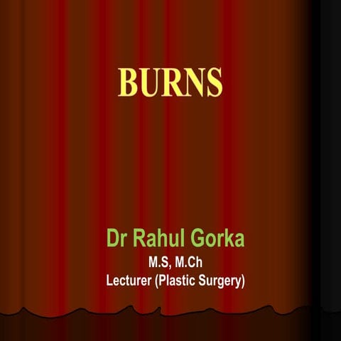Burns 158 slides.ppt