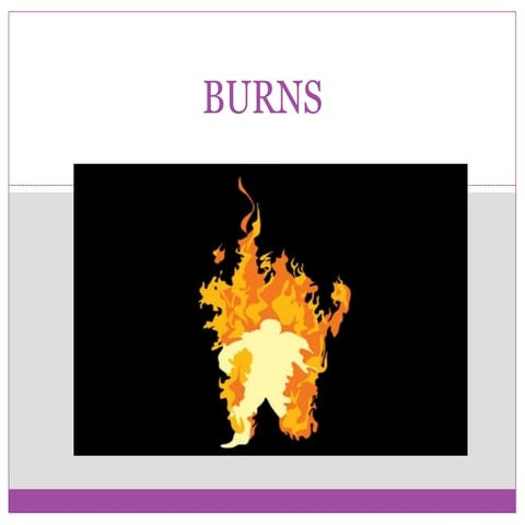 Burns final ECHO and nursing management .pptx