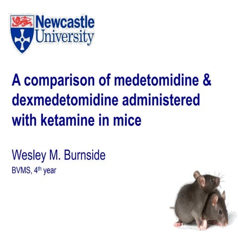 Governor's Prize Talk 2011