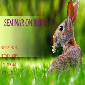 Burns management presentation by 2nd yr MSC nursing student