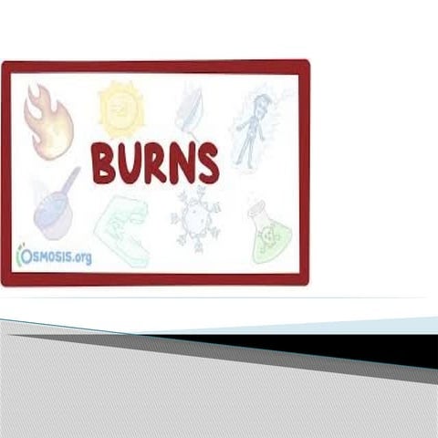 Dietary management  in burns seminar.pptx