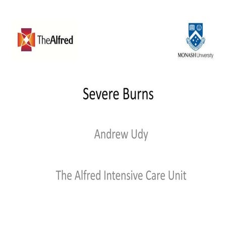 Severe Burns by Andrew Udy