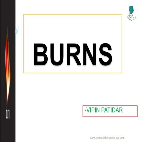 Burns
