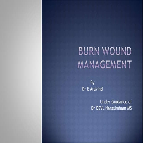 Burn wound management