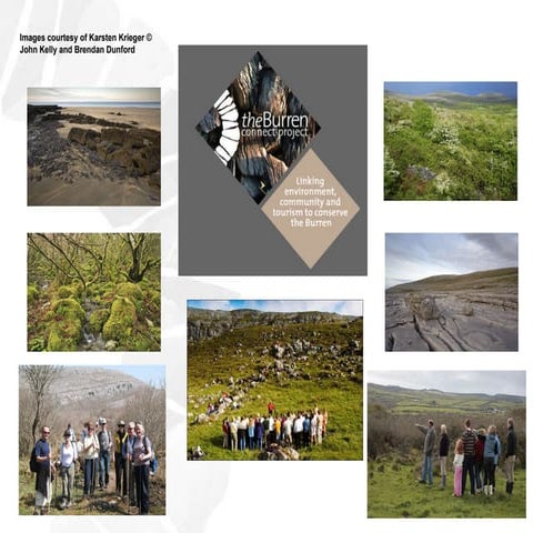 Burren greeneconomy 2010