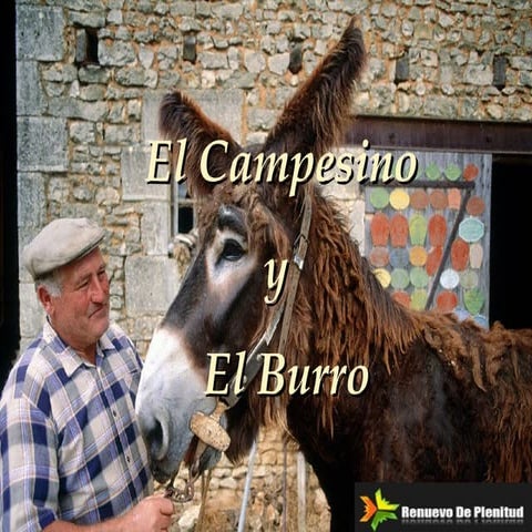 El burro | PPS