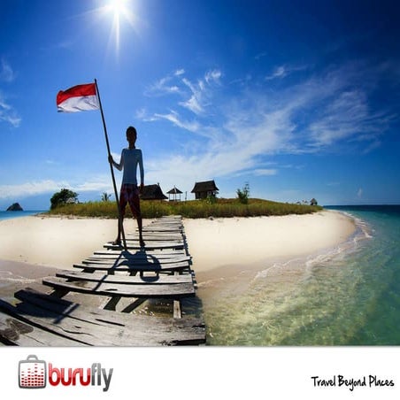 Burufly overview 072513