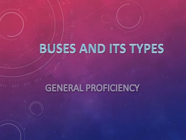 Bus