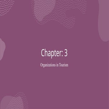 Business -3103 (Chapter 3)organisations of tourism