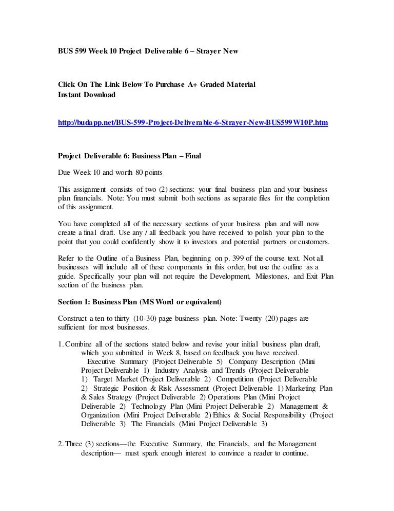 Bus 599 week 10 project deliverable 6 strayer new essay 05 picture