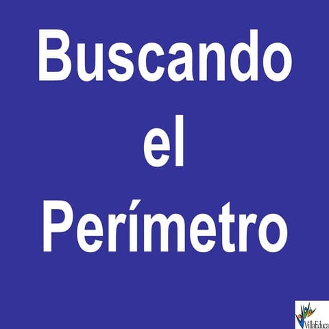 Buscando El Perimetro