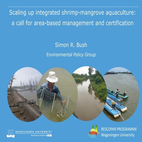 Scaling up integrated shrimp-mangrove aquaculture: a call for area-based mana...