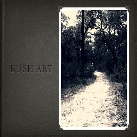 Bush art.2key