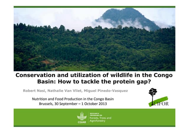 thumbnail of  Conservation and utilization of wildlife in the Congo Basin: How to tackle the protein gap?