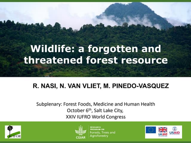 Wildlife: a forgotten and threatened forest resource
