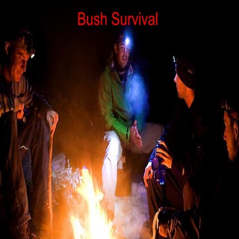 Bush Survival 