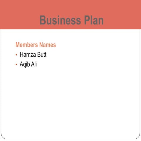 Business plan