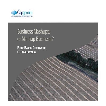 Business mashups, or mashup business