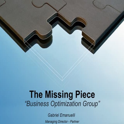 Business Optimization