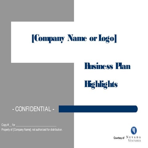 Business Plan Highlights Template | PPT