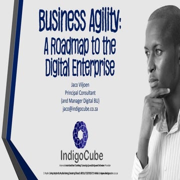 Business Agility: a roadmap to the digital enterprise by Jaco Viljoen