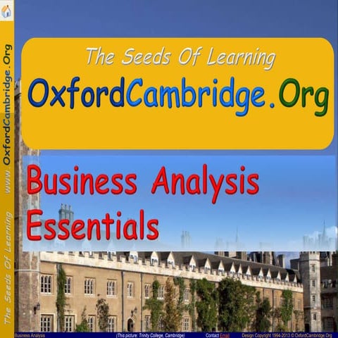 Business Analysis Essentials