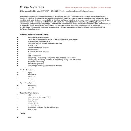 Business analyst / CV