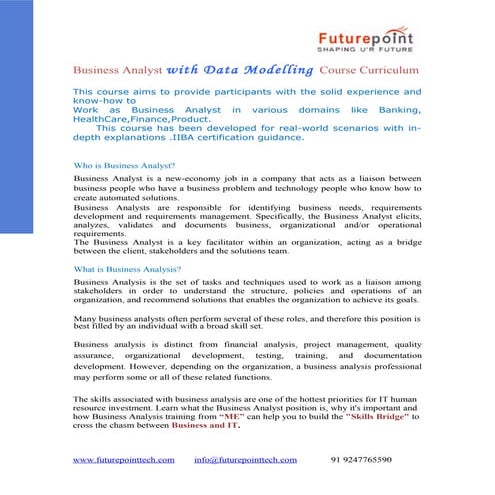 Business analyst with project training